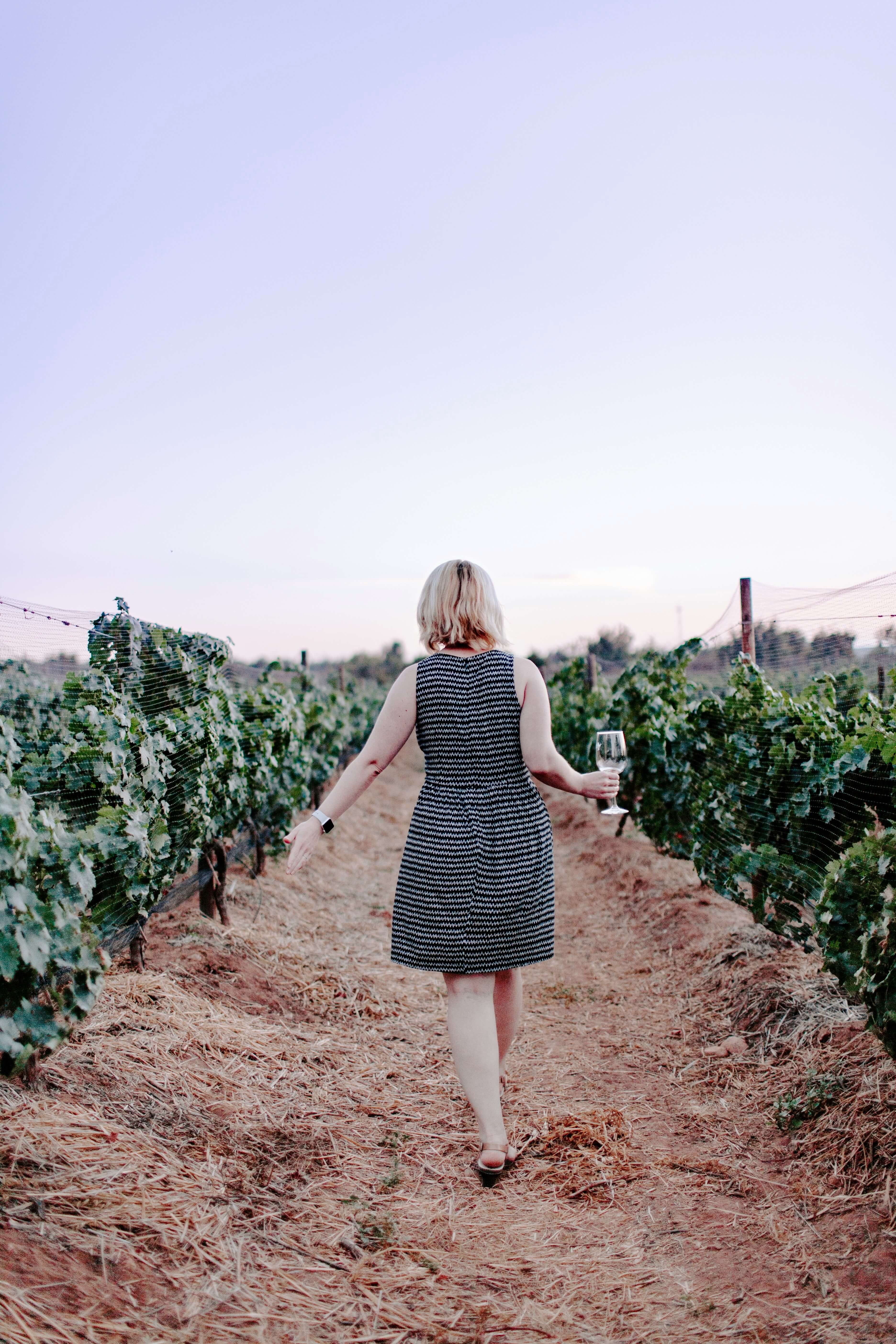 vineyard-11