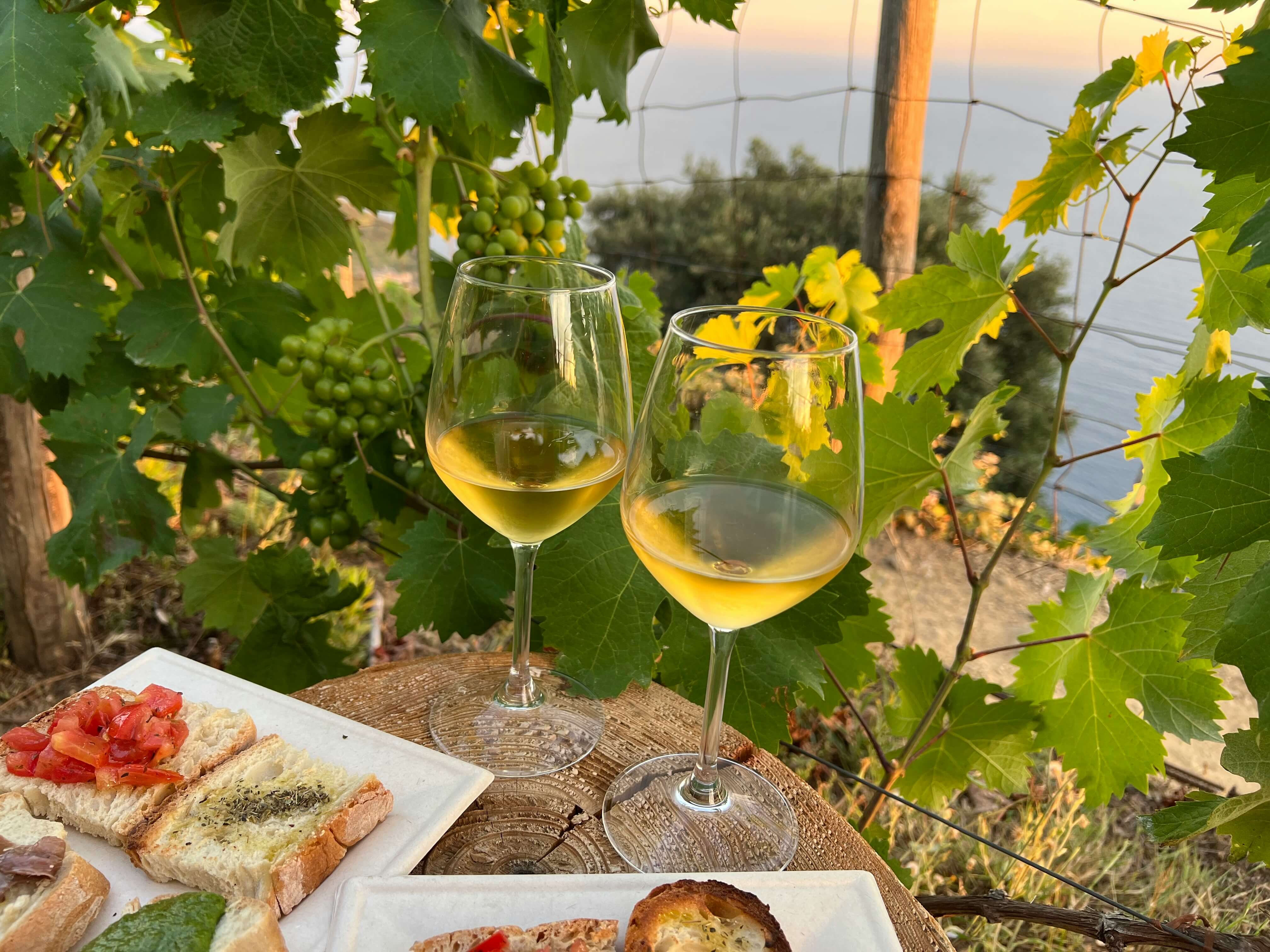 wine-one